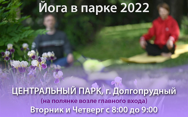 Регулярные занятия в Центральном парке г. Долгопрудный